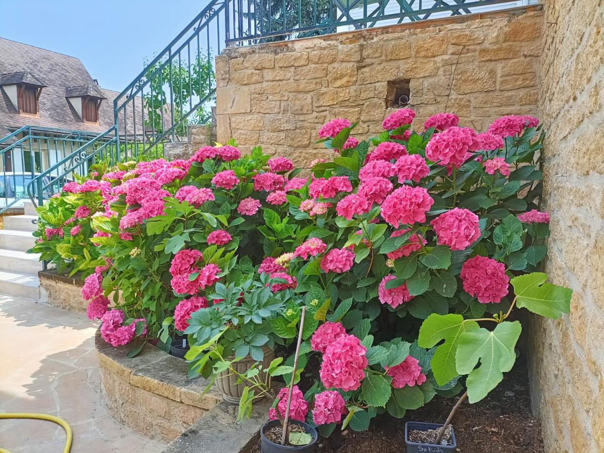 La Villa Perigourdine Sarlat-la-Canéda Eksteriør bilde